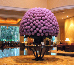 Pom Tree (Globe)