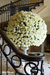 White Rose Bush (Globe)