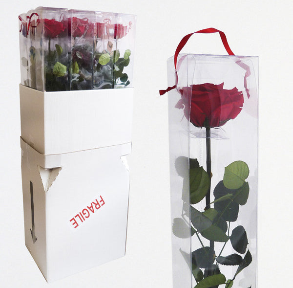 Preserved Red Roses - Long Stem